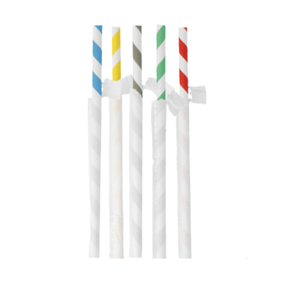 [30.0017] Pailles à Franges Sous Sachets Papier - 23,5 cm Assorti (Boîte de 3000 pcs)