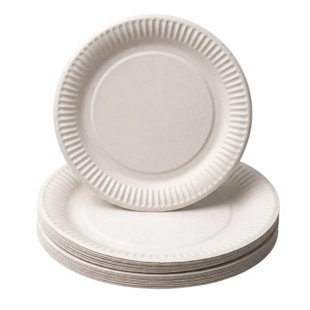 [50.0019] Assiettes en Carton Rondes Blanc - Ø 23 cm (Carton de 500 pcs)