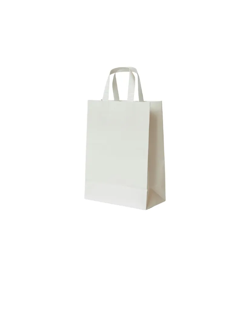 [70.0001] Sacs en Papier Blanc - 26+17x25 cm (Carton de 250 pcs)
